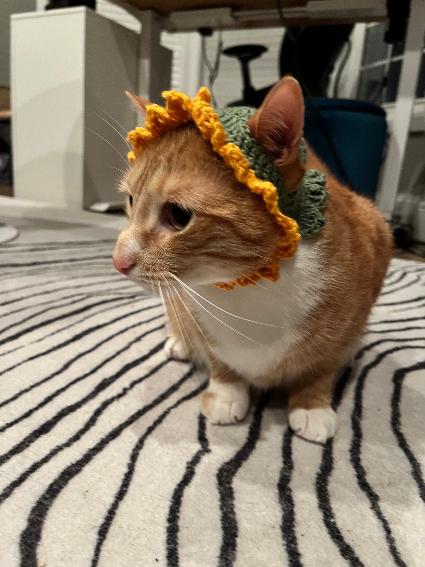 Sunflower Cat Hat