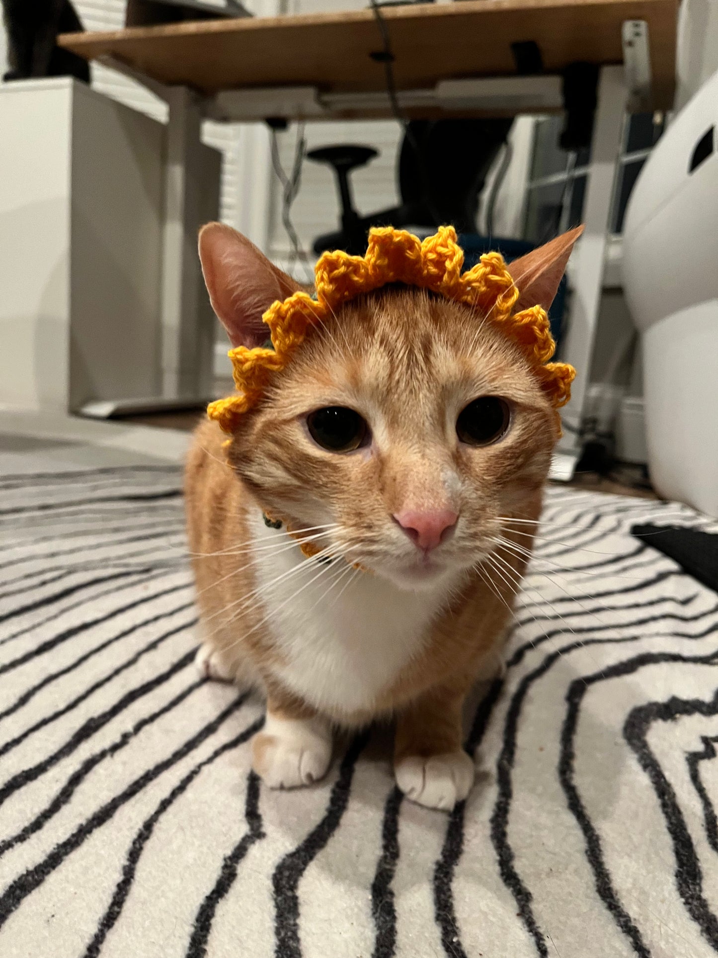 Sunflower Cat Hat