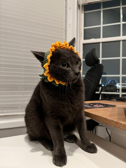 Sunflower Cat Hat